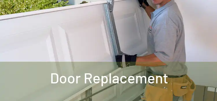  Door Replacement 