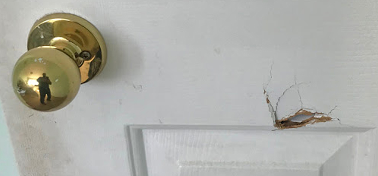 interior door hole repair Parlier